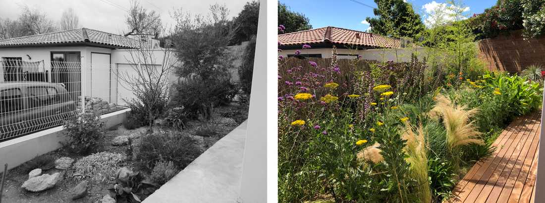 Avant-après de l'aménagement d'une petit jardin dans un lotissement par un paysagiste en région bruxelloise