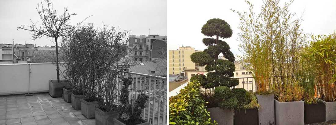 Avant - Après : Aménagement paysagé d'une terrasse avec vue à Bruxelles
