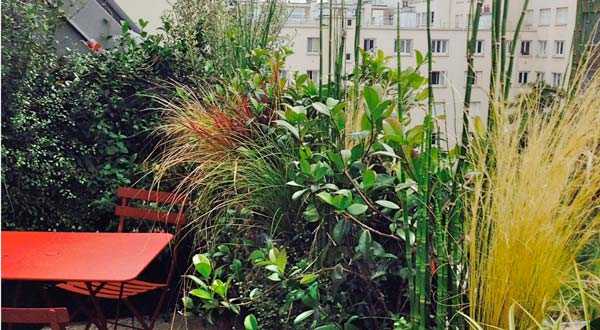 Avant aprés de la rénovation d'une terrasse sur un toit en zinc dans un appartement à Bruxelles