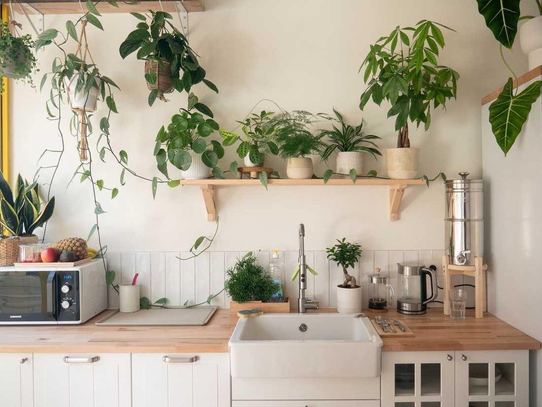 Nouvelle cuisine dans l'extension réalisée pour une maison à Bruxelles