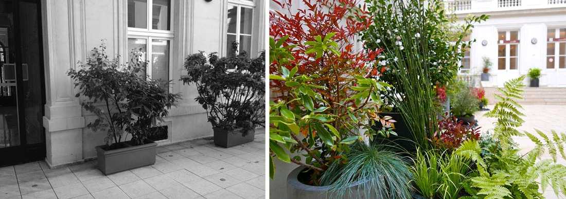 Un jardinier paysagiste aménage la cour intérieure d'un hôtel particulier à Bruxelles
