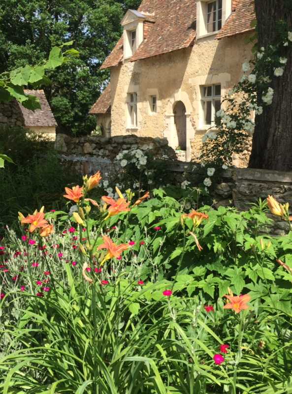 Fleurs d'orangés dans un jardin en région bruxelloise