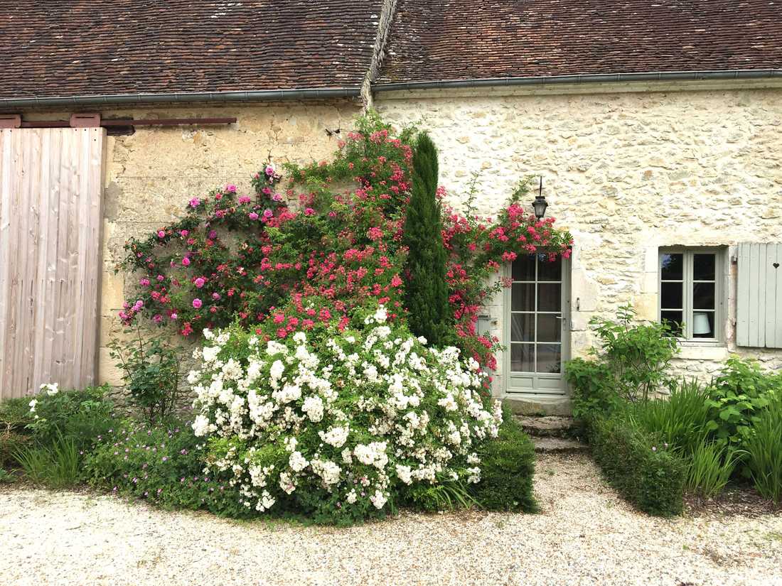 Jardin d'une maison ancienne à Bruxelles