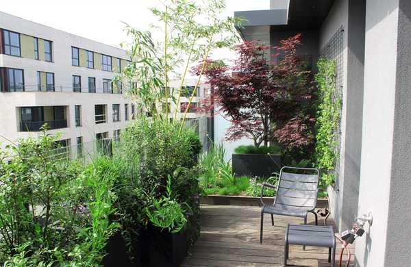 Aménagement paysager de la terrasse d'un penthouse à Bruxelles.