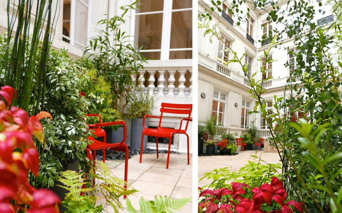 Hôtel particulier courtyard landscaping in Brussels
