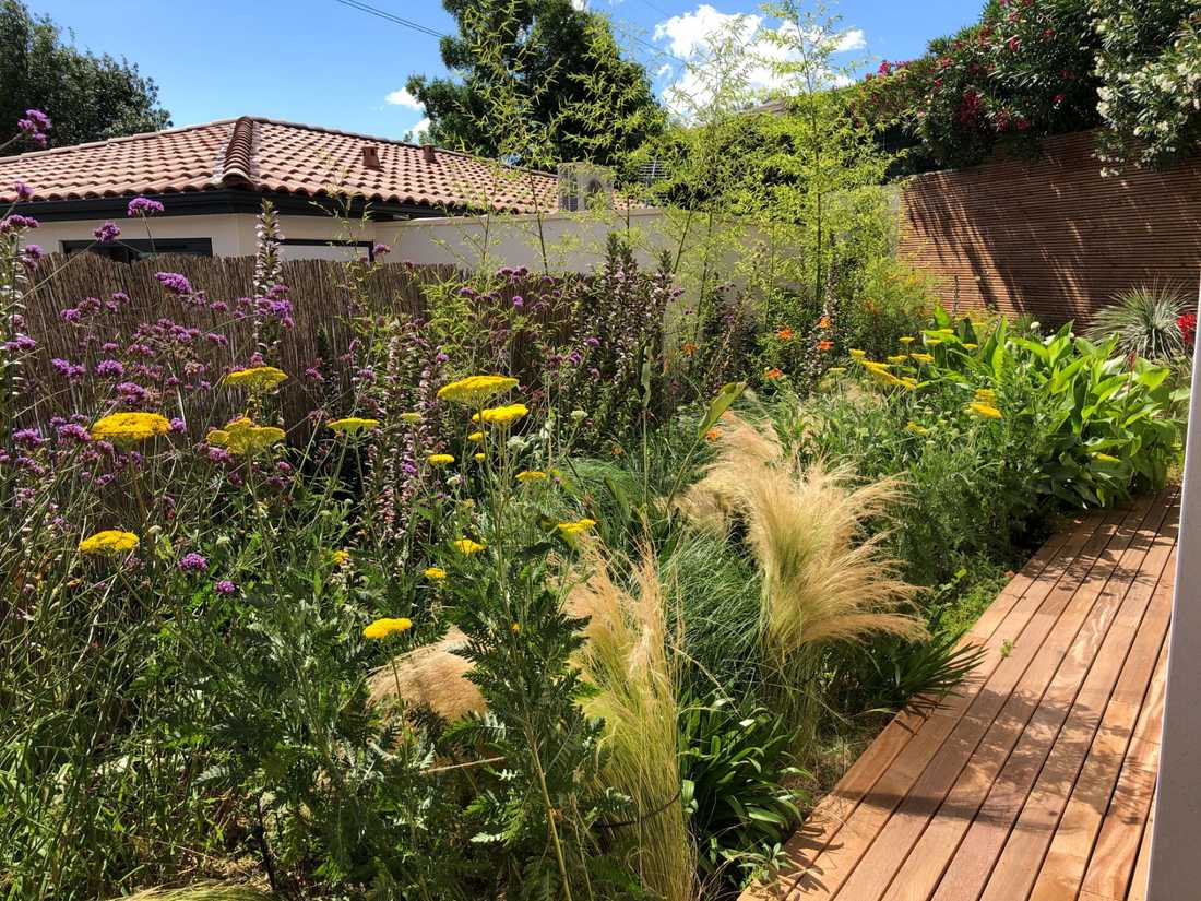 Végétation permettant une floraison toute l'année