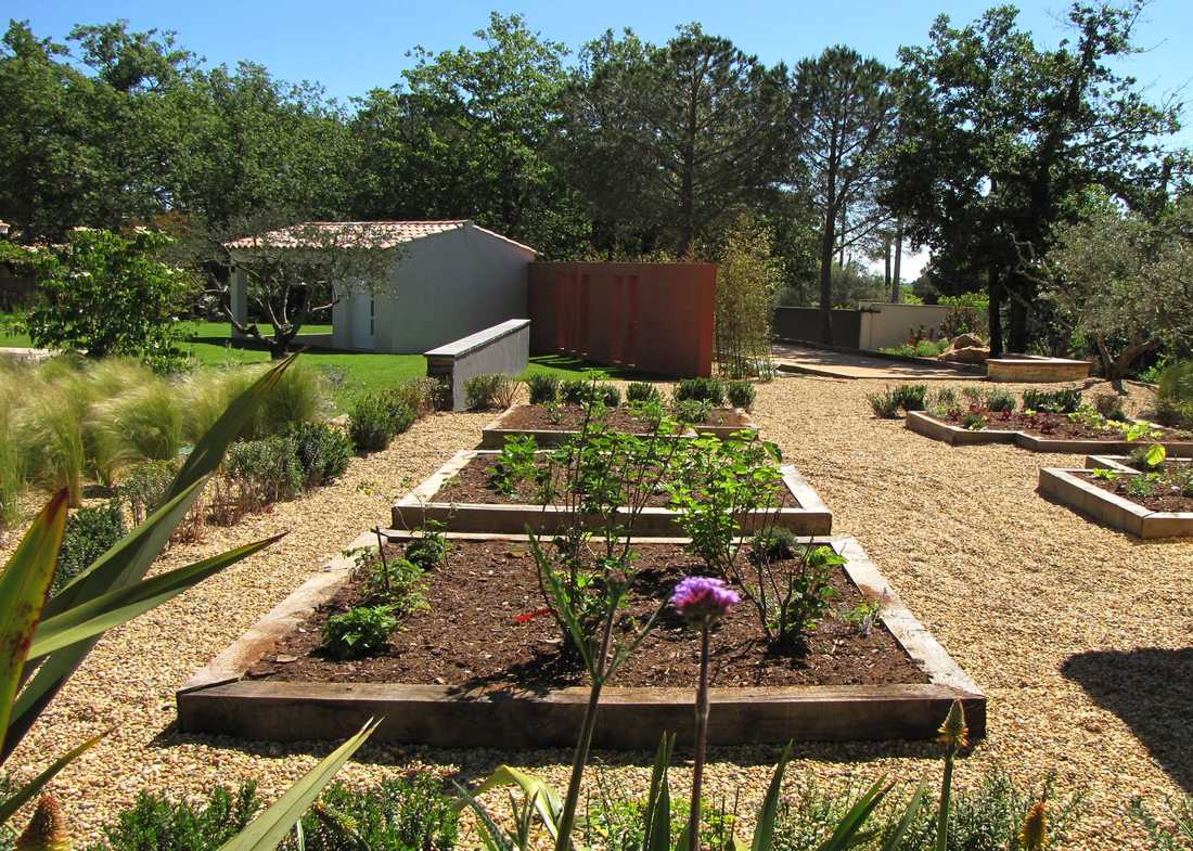 Potager méditerrannéen réalisé par un jardinier paysagiste à Bruxelles