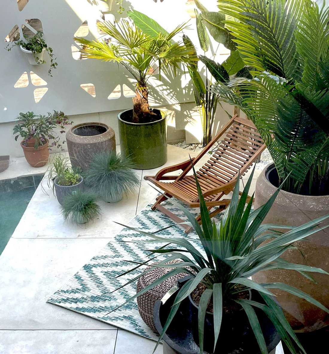 vegetation-terrasse-bruxelles