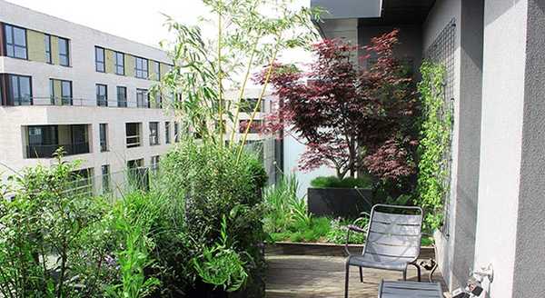 Aménagement de la terrasse d'un penthouse par un paysagiste à Bruxelles